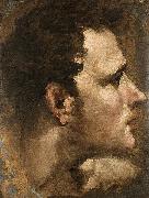 Head of a Youth Seen in Profile Domenico Beccafumi